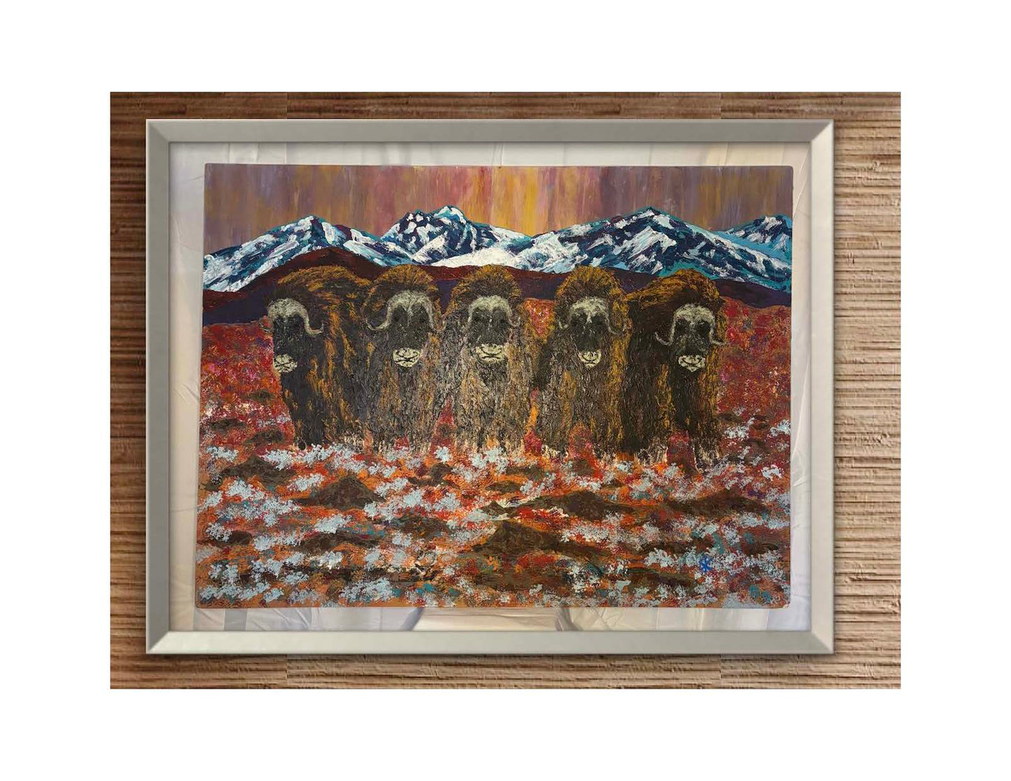 MUSK OX - THE "D" LINE