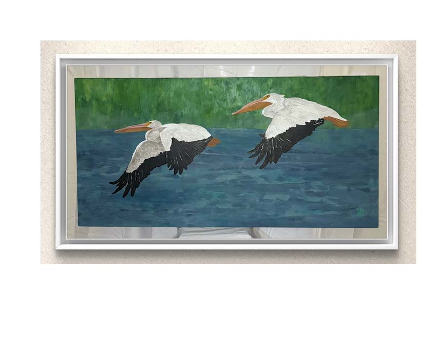 AMERICAN WHITE PELICAN - HOMEWARD BOUND