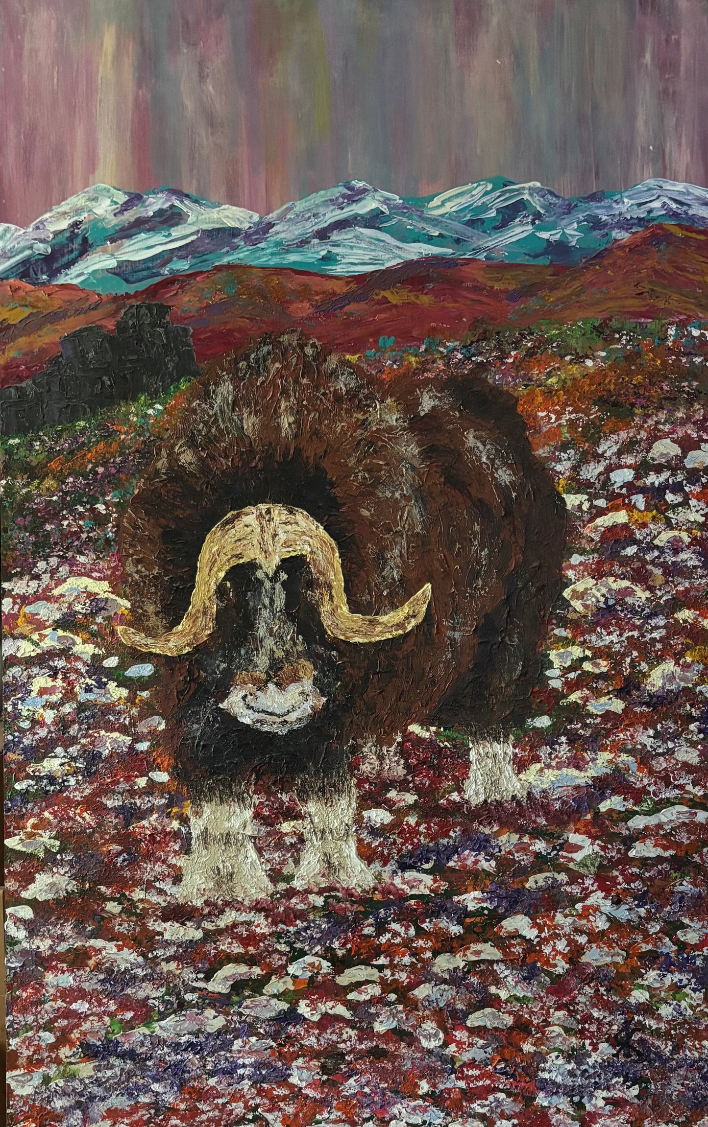 MUSK OX - TUNDRA STROLL