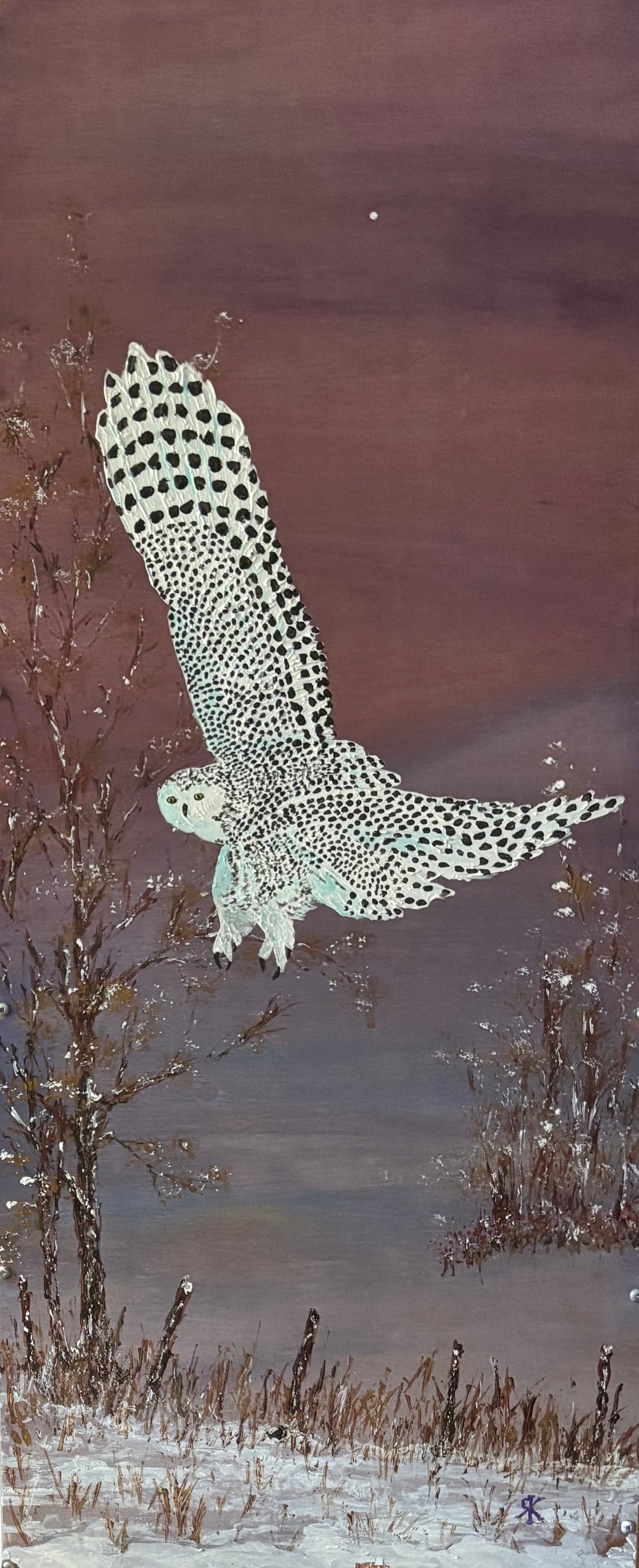 SNOWY OWL - ON FINAL