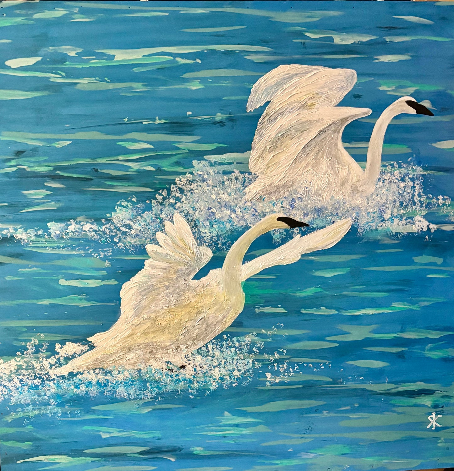 TRUMPETER SWAN - ARRIVAL