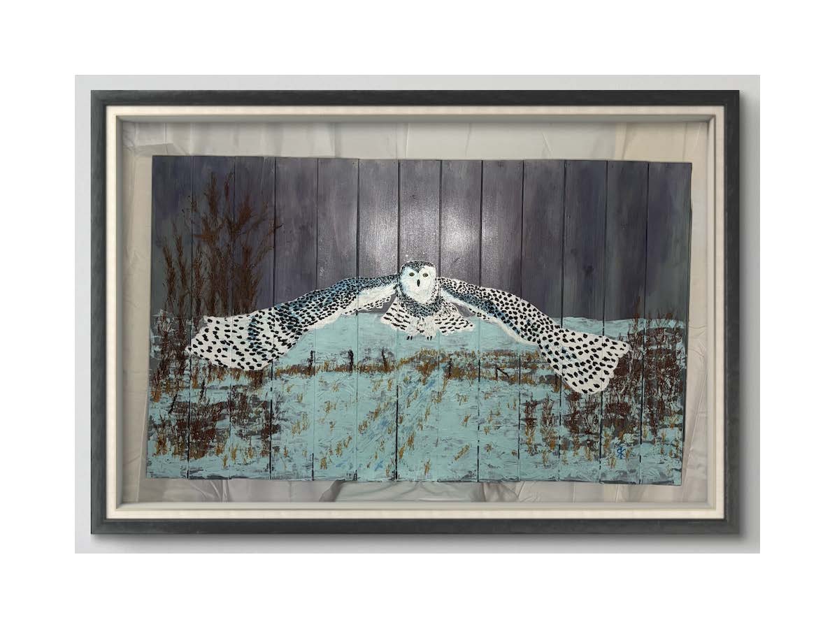 SNOWY OWL - NIGHT OWL