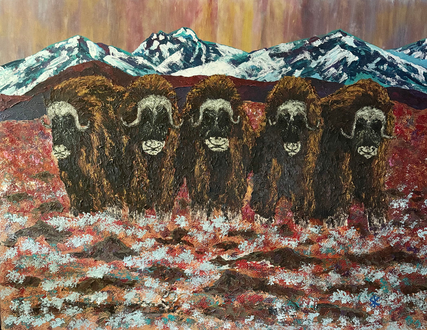 MUSK OX - THE "D" LINE