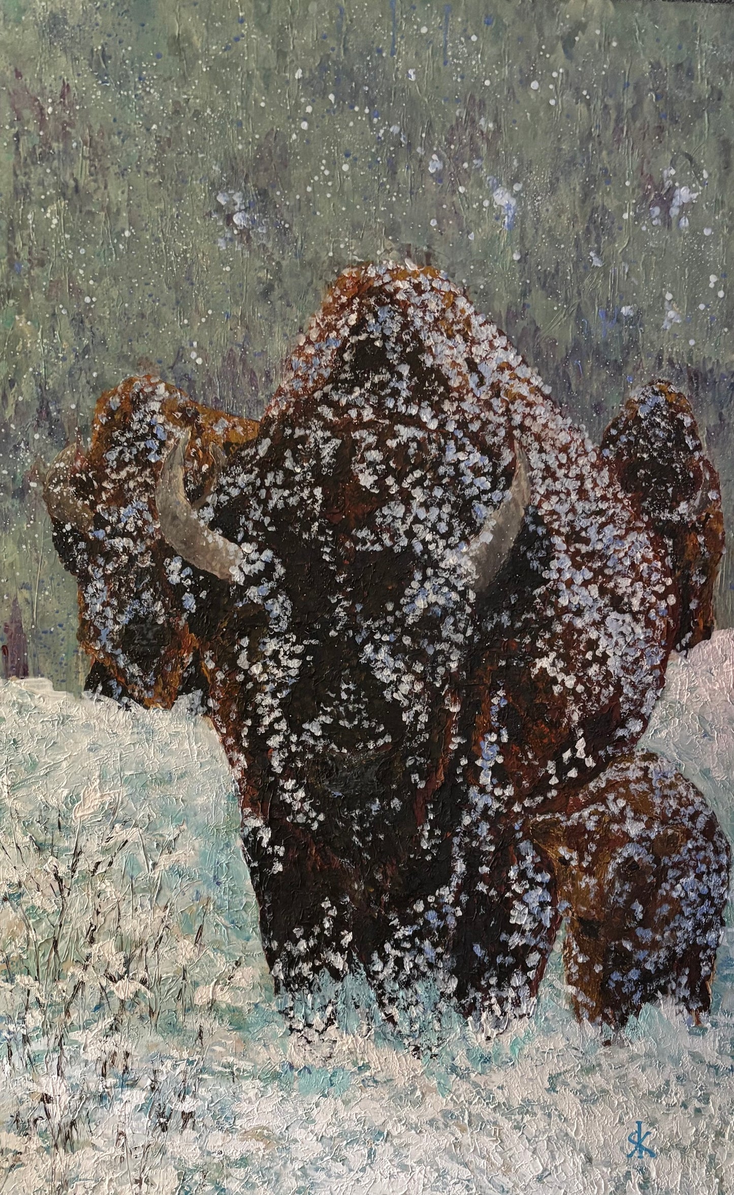 BISON - MOTHER'S SHELTER