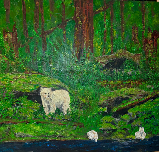 KERMODE - COASTAL SPIRIT BEAR - CURIOSITY