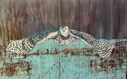 SNOWY OWL - NIGHT OWL