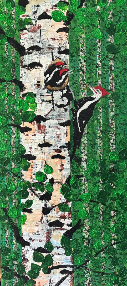 PILEATED WOODPECKER - FIRST COME...