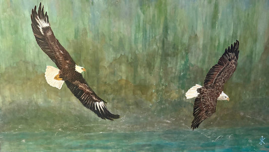 BALD EAGLE - DAWN PATROL