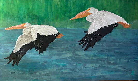 AMERICAN WHITE PELICAN - HOMEWARD BOUND