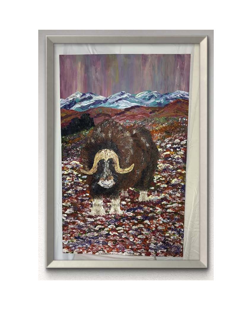 MUSK OX - TUNDRA STROLL